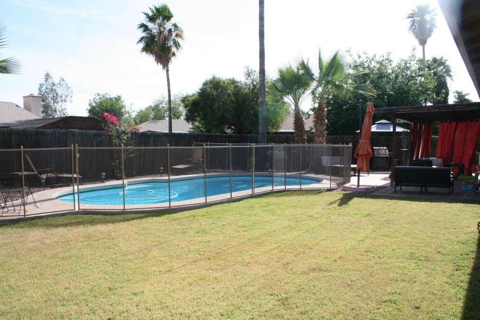 Back yard