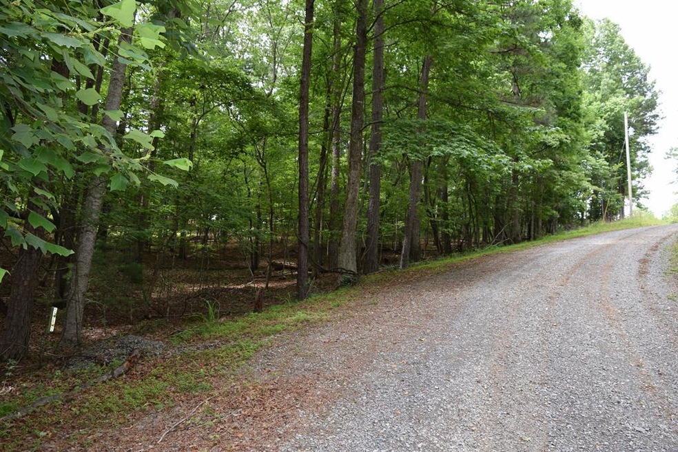 L2021+22 Garnet Dr, Ellijay, GA 30540 - photo 1