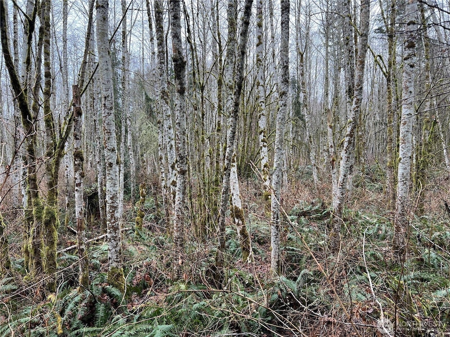 3 XX Scenic Dr NE, Poulsbo, WA 98370 - photo 1