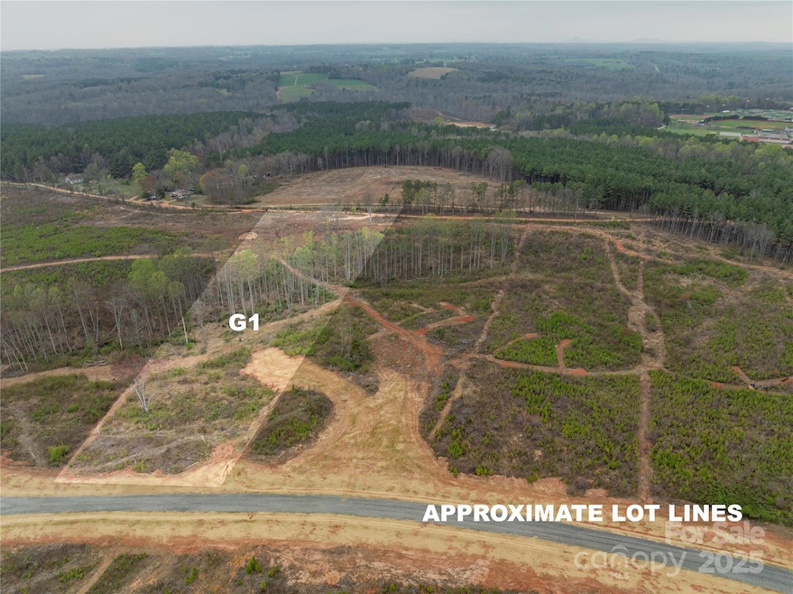 00 McCurry Farm Ln unit G1, Lincolnton, NC 28092 - photo 1