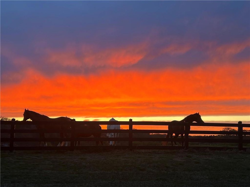 VIEW of sunsets and horse farms across street