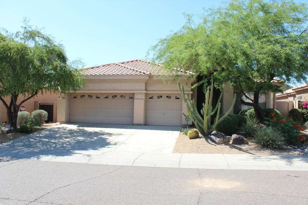 01 front yard