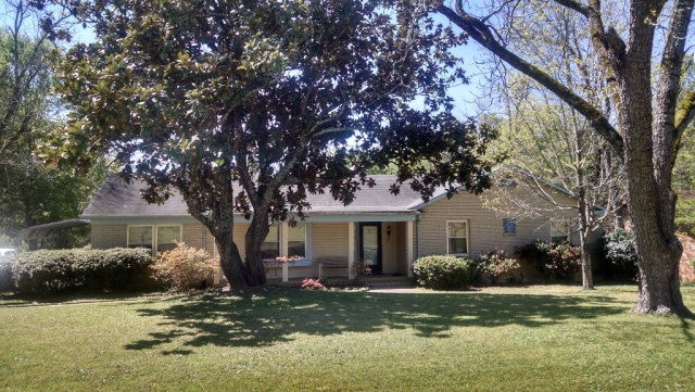 Main View
