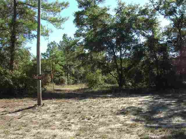 0 Hoot Owl Hollow unit 220521, Crawfordville, FL 32327 - photo 1