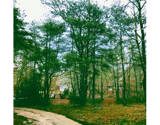 56 Willow Tree Hollow, Vineyard Haven, MA 02568 - photo 1