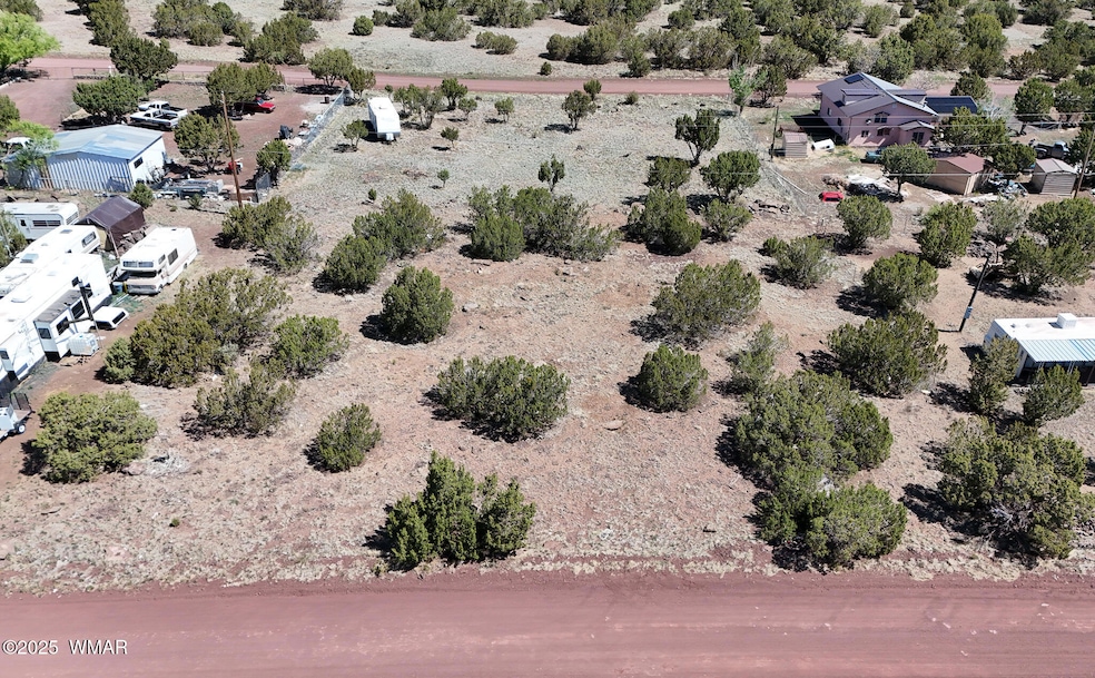 DJI_20250520094843_0001_D