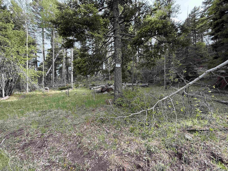 For Sale $26,500 • Co-Listing Agent