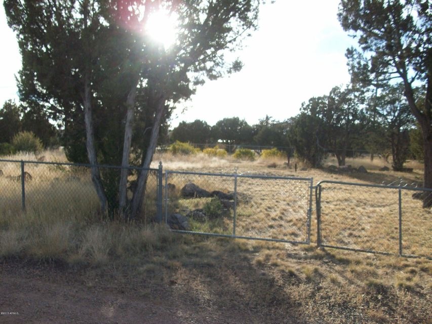 1780 Canyon Pl Show Low 002