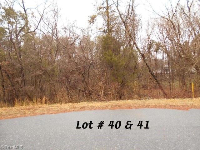 #40 & #41 Fox Run, Eden, NC 27288 - photo 1