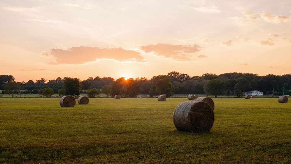 309 Gilliam Rd, Gurley, AL 35748 - photo 1