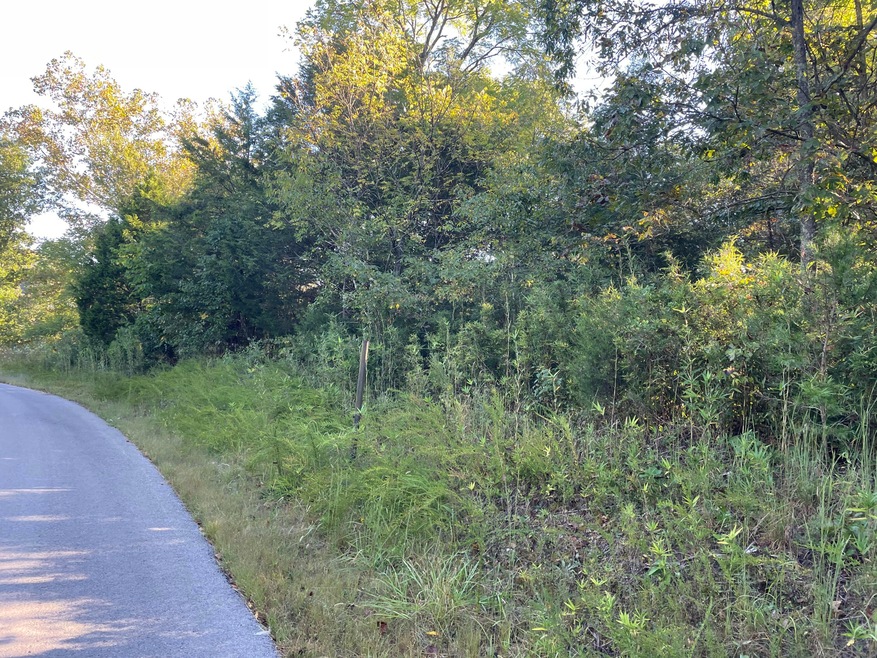 Tract 3 Cumberland Ridge Dr, Somerset, KY 42501 - photo 1