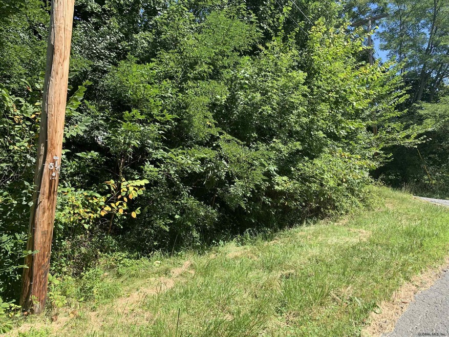 683 Delaware Ave, Albany, NY 12209 - photo 1