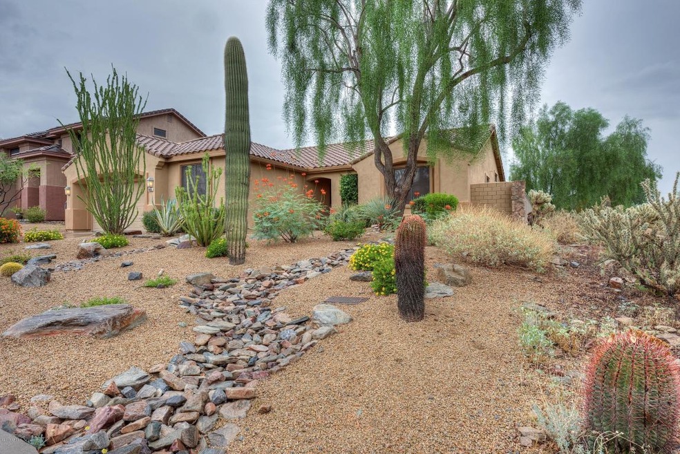 Lushly Landscaped Yard