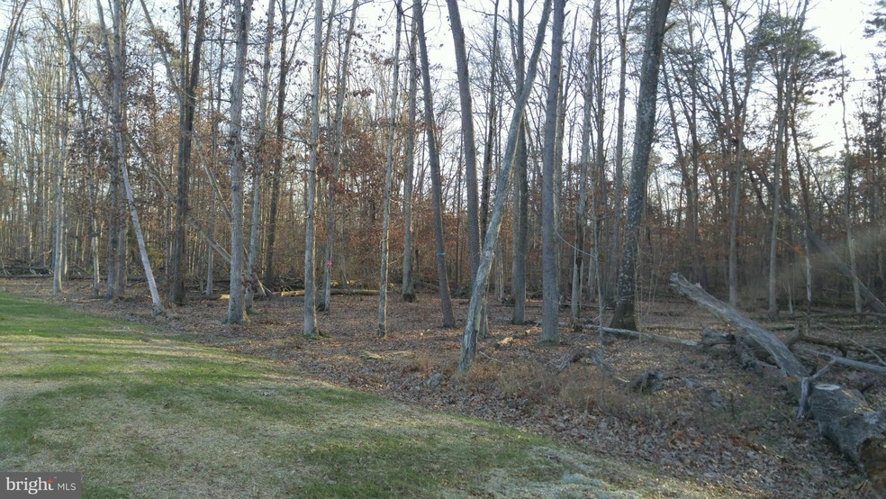 10531 Mary J Champ Way, Bristow, VA 20136 - photo 1