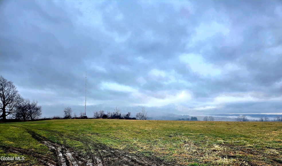 L29.3 New York 5s, Little Falls, NY 13365 - photo 1