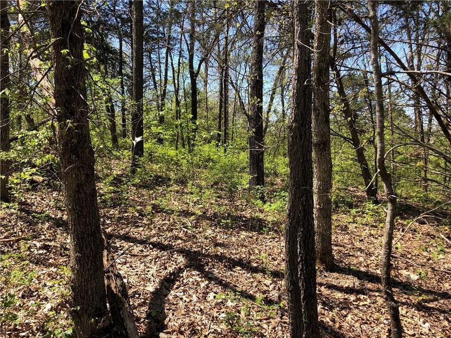 0 Burghead Dr unit 1144405, Bella Vista, AR 72715 - photo 1