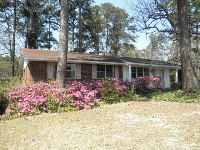 Main View
