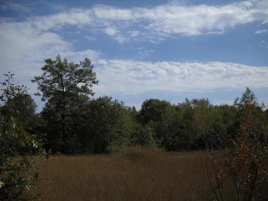 DSCN0024