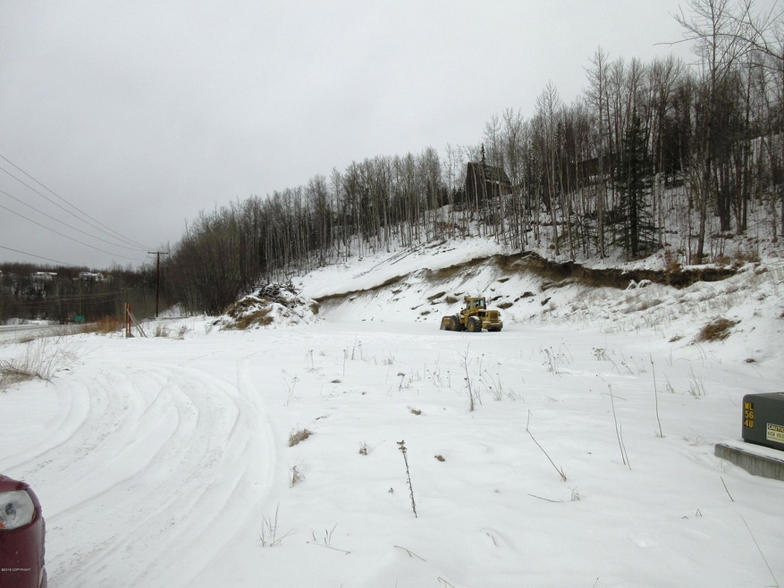 cleared area