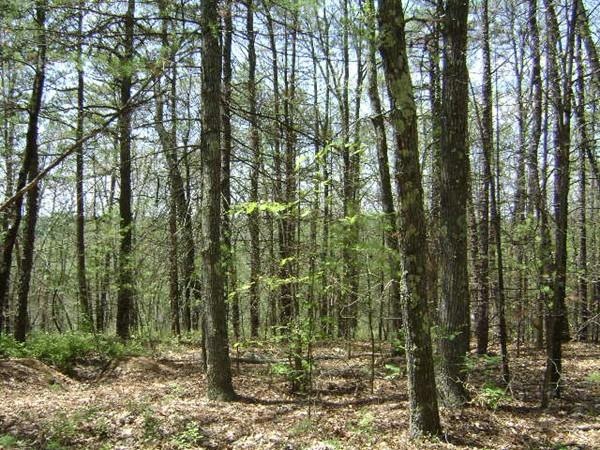 Lot 2A&B Quaker St, Northbridge, MA 01534 - photo 1