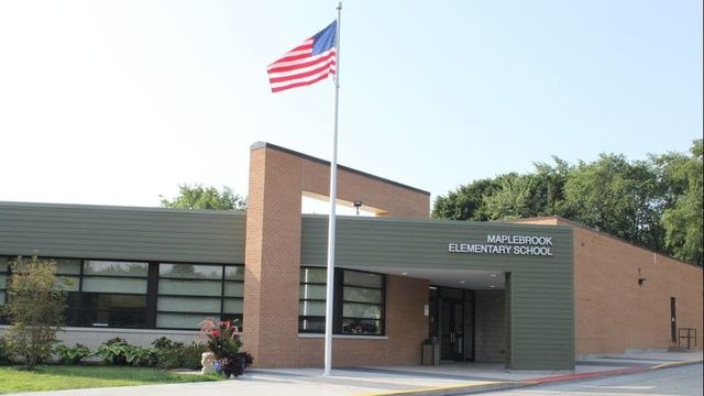 1545 Swallow St, Naperville, IL 60565 - photo 1