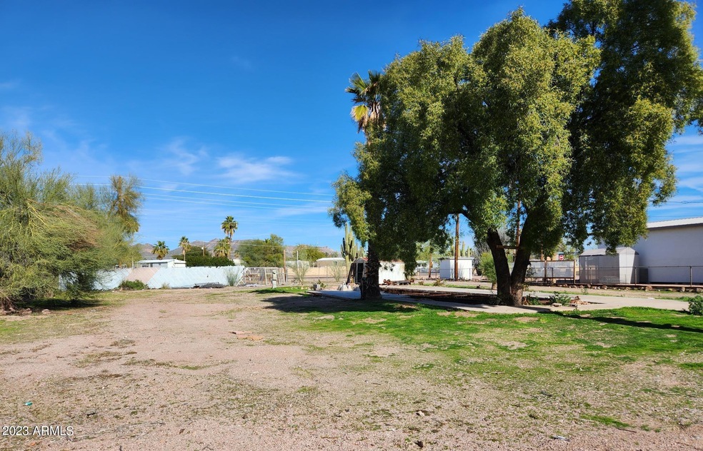 Cholla From W Cholla St
