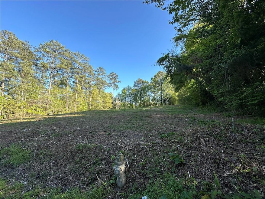 View of local wilderness with a forest view