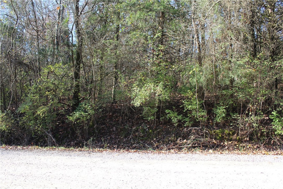001-04740-000 Marion County 5045, Yellville, AR 72687 - photo 1