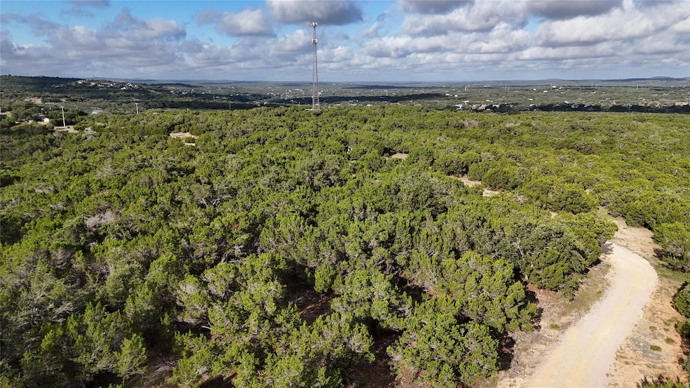 Drone / aerial view of a forest