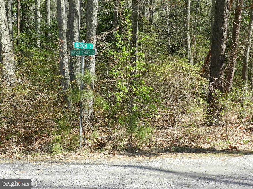 0 Birch Ln unit 1000408397, Colonial Beach, VA 22443 - photo 1