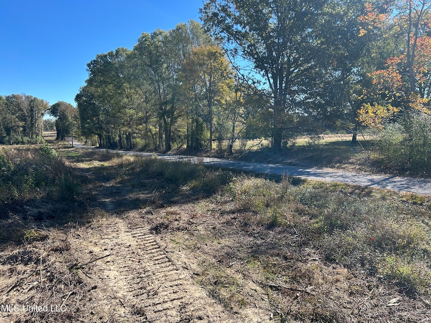 0 Warren Cook Rd, Mendenhall, MS 39114 - photo 1