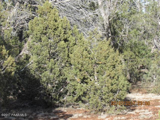 164 W Muddy Boot Trail, Ash Fork, AZ 86320 - photo 1