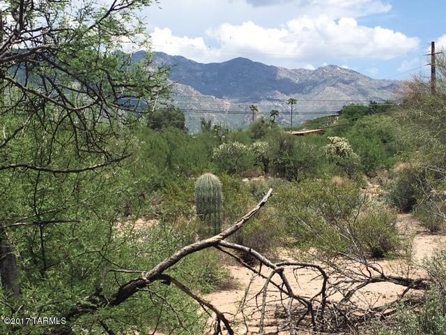 Gorgeous Catalina Mountain Views