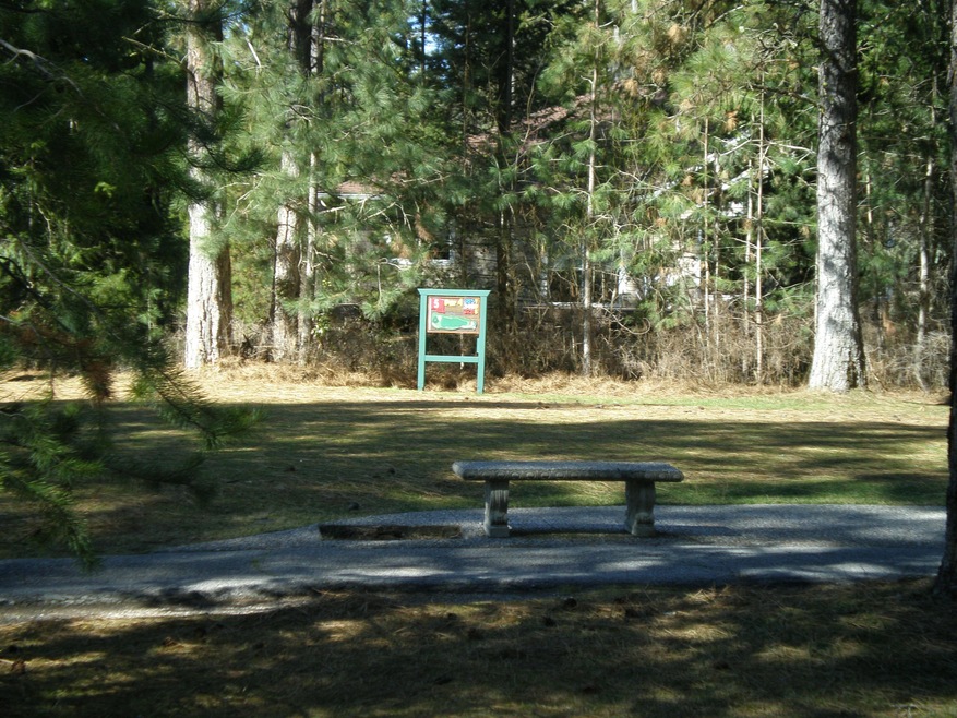 P1010082