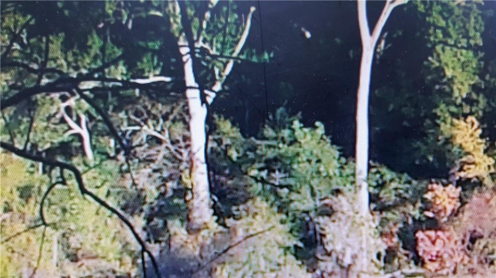 00 Brooks Rd, Jesup, GA 31545 - photo 1