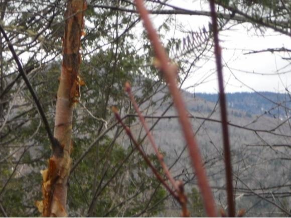 0 Blakely Farm unit 4128793, Colebrook, NH 03576 - photo 1