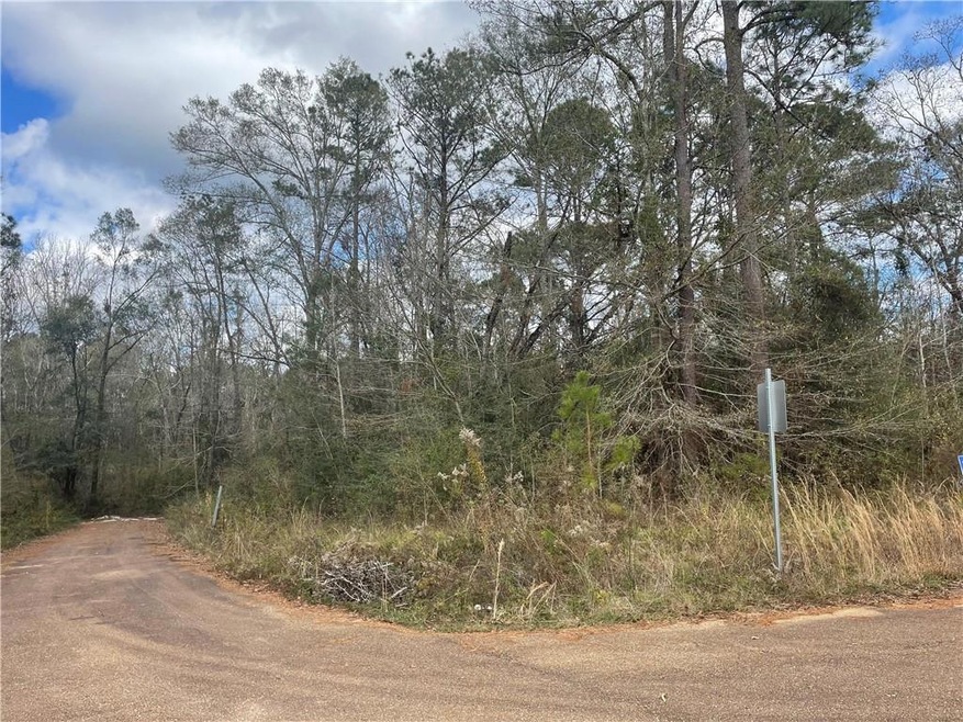 Corner lot with road frontage on side.
