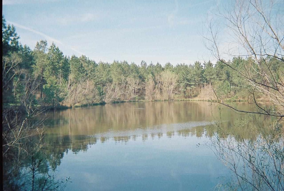 0 Andrew Chapel Rd unit 1273136, Brandon, MS 39042 - photo 1