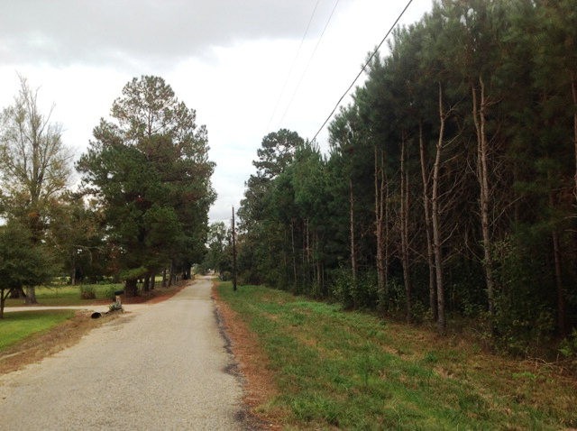 53 Tom Lewis Rd, Tylertown, MS 39667 - photo 1