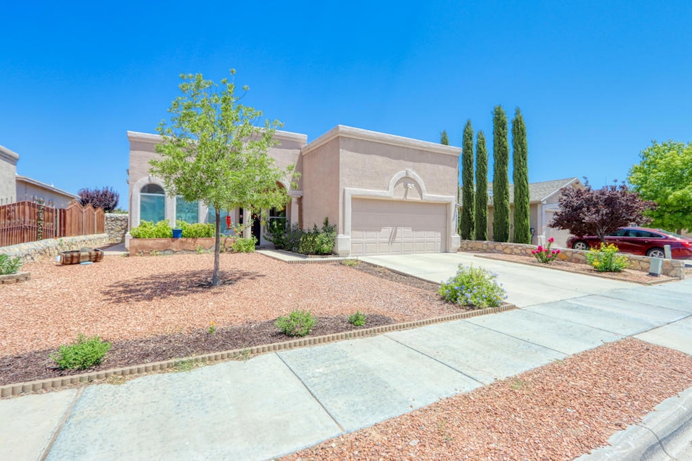 14228 Desert Mesquite Dr, Horizon City, TX 79928 - photo 1