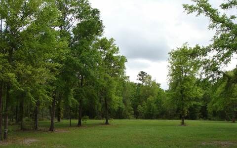 LOT17 Mandiba Dr, Lake City, FL 32024 - photo 1