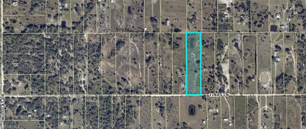 23555 Tina's Ln, Fort Myers, FL 33913 - photo 1