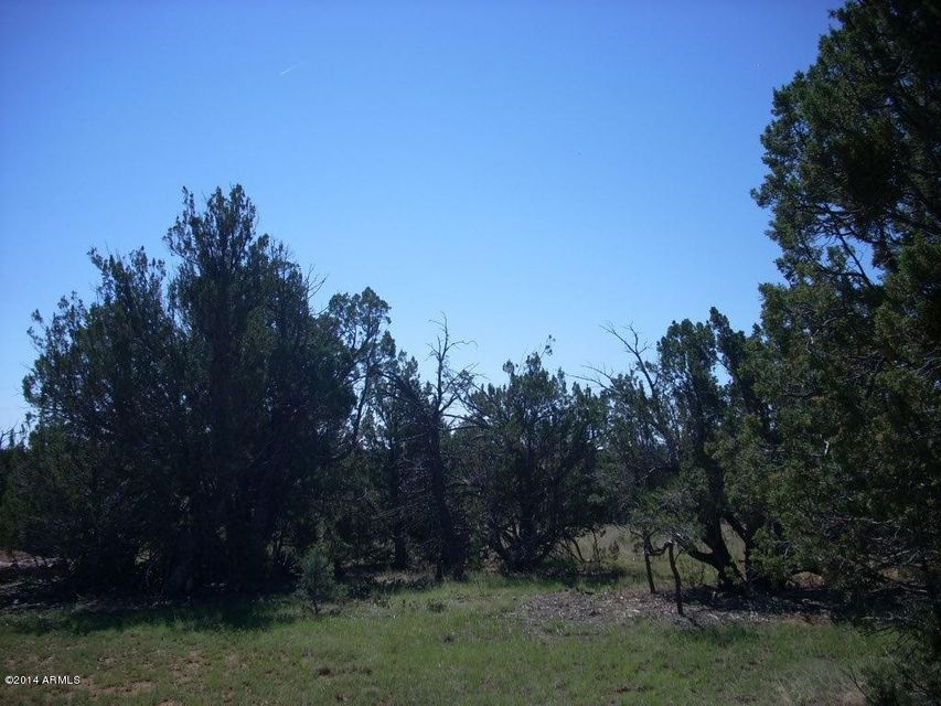 3329 Cedar1