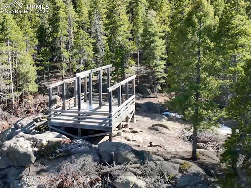 12329 Powhatan Trail, Conifer Mountain & Meadows, CO 80433 - photo 1
