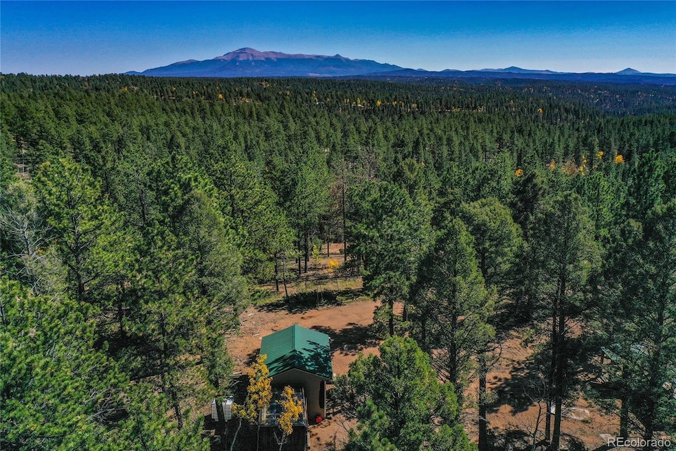 3447 Pathfinder Rd, Florissant, CO 80816 - photo 1