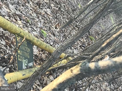 0 Thorny Grove Rd, Southampton Township, PA 17257 - photo 1