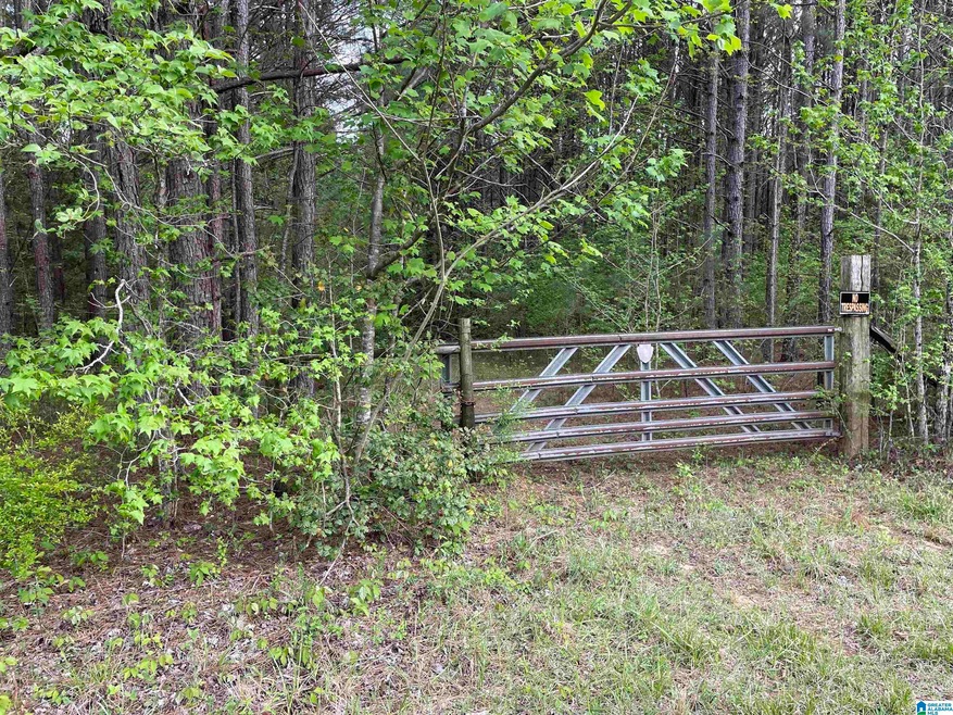 0 Bud Cummings Rd unit 42 1350945, Roanoke, AL 36274 - photo 1