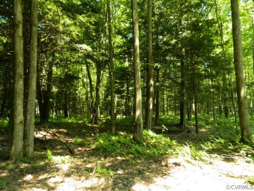 000 N Anna Dr, Caroline, VA 22546 - photo 1