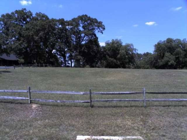 Primary Photo