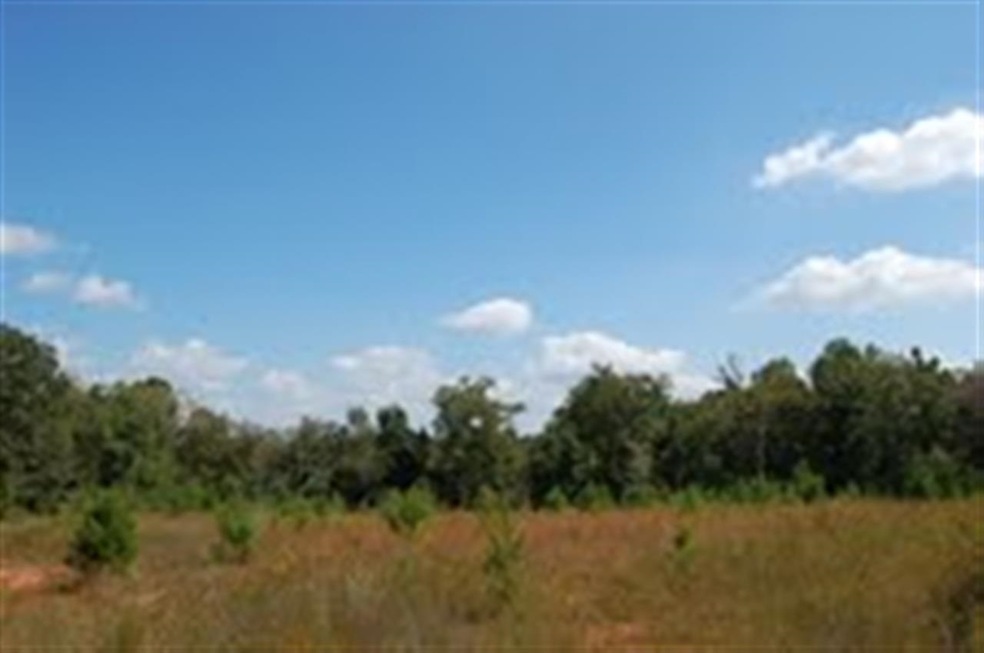 0 Apalachee River Rd unit 35642, Madison, GA 30650 - photo 1